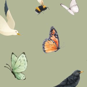 Illustrations of butterflies, bees and birds against a beige background