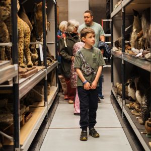 A young child walking through an open collection stotre