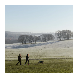 Temple Newsam Grounds