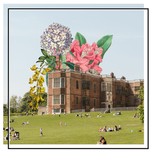 temple newsam house with an illustration of flowers cascading from the roof
