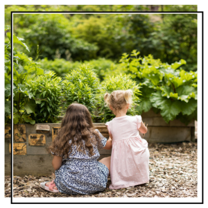 two children looking at a flower bed in the colour garden at Leeds Industrial Museum