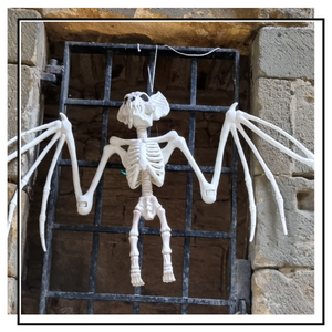 bat skeleton