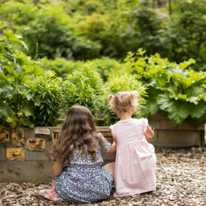 Two young children sat on pebbles with their backs to the camera surrounded by plants and greenery