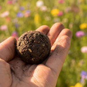 A close up of a hand holding a seed bomb with wild flowers in background