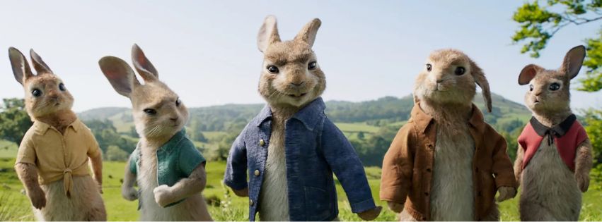 A still from the film Peter Rabbit showing five animated rabbits wearing jackets, walking forwards in a field.