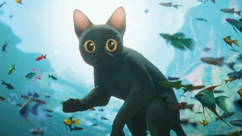 A wide-eyed animated black cat swimming underwater surrounded by colourful tropical fish,
