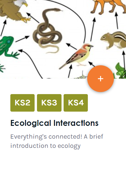 Diagram of a food web