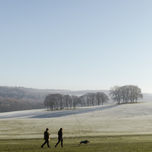 Two people walking in the frost covered estate