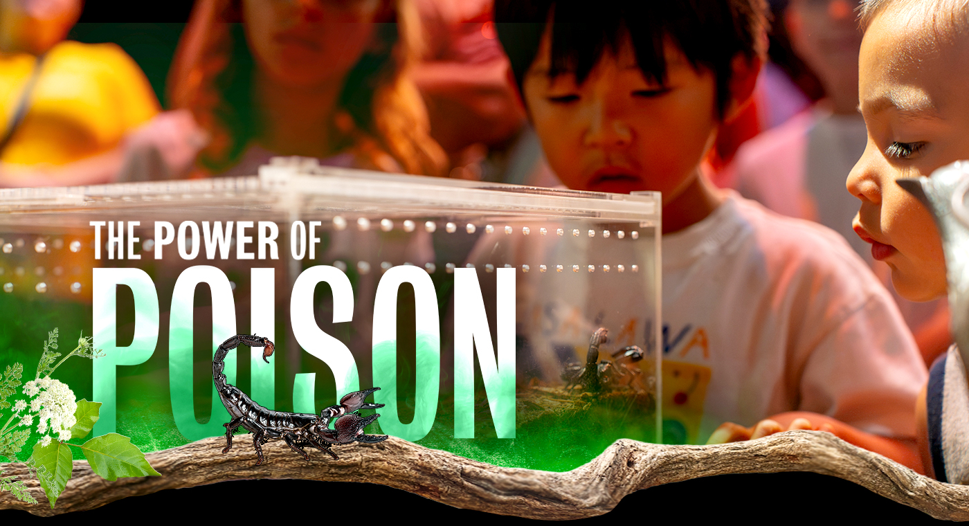 Poison Is Powerful