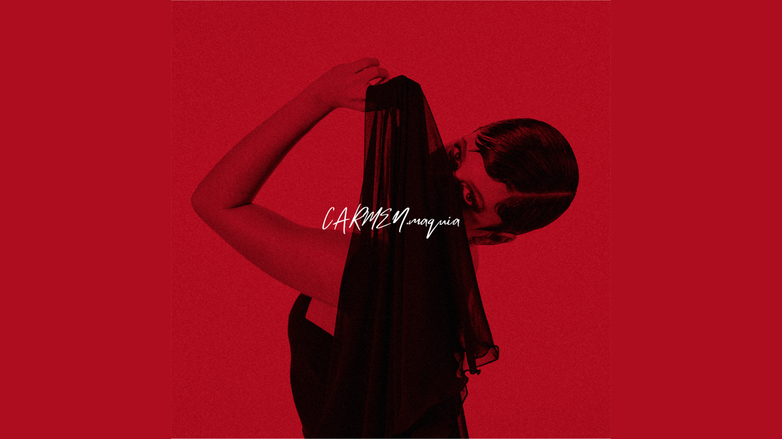 A silhouette of a flamenco dancer with a red background 