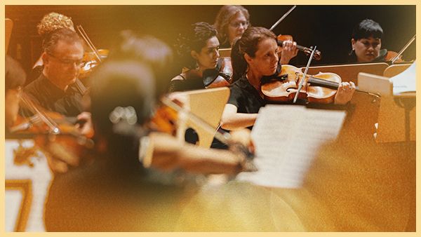 Musicians play stringed instruments in the orchestra