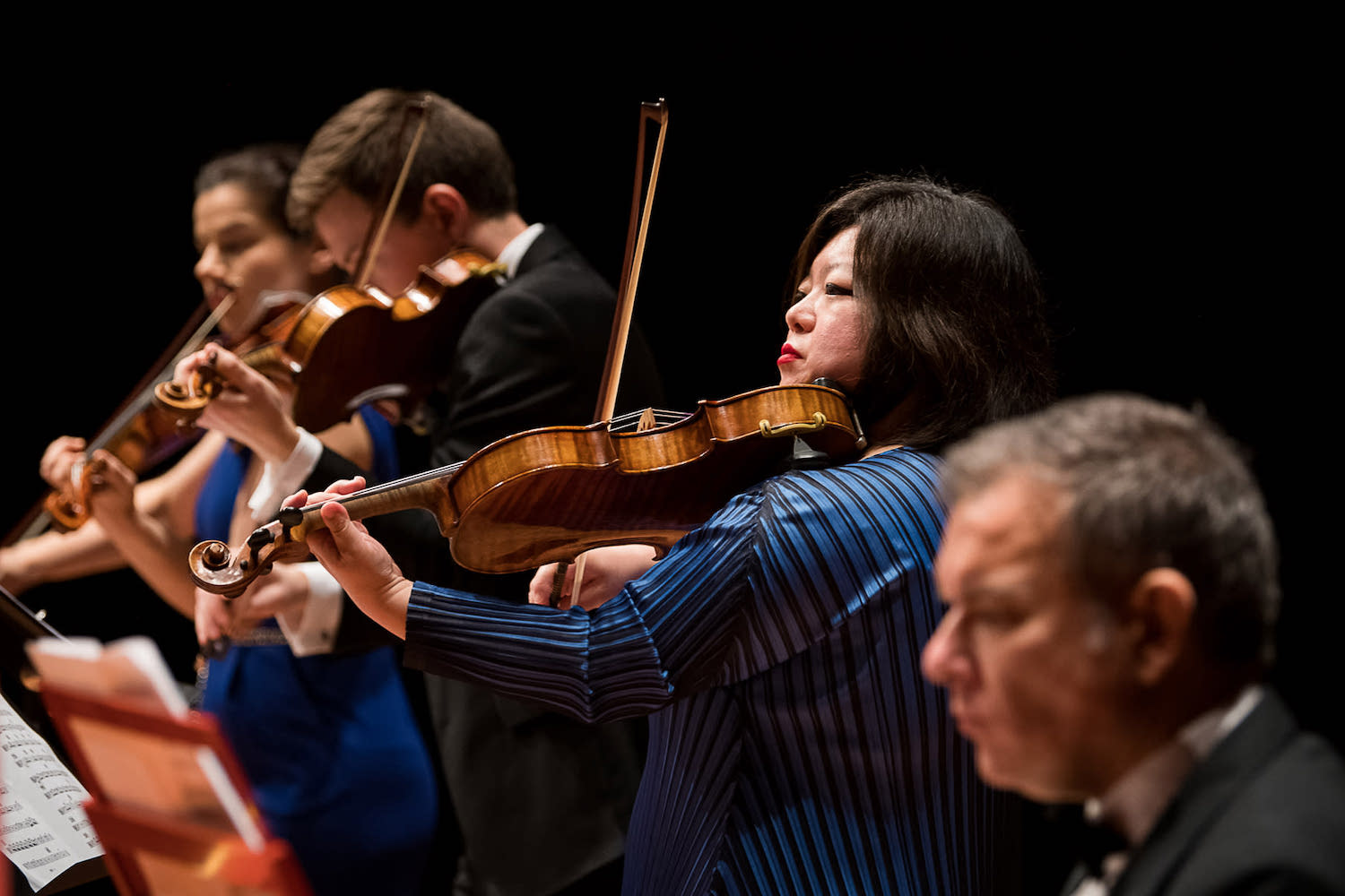 A group of musicians playing string instruments