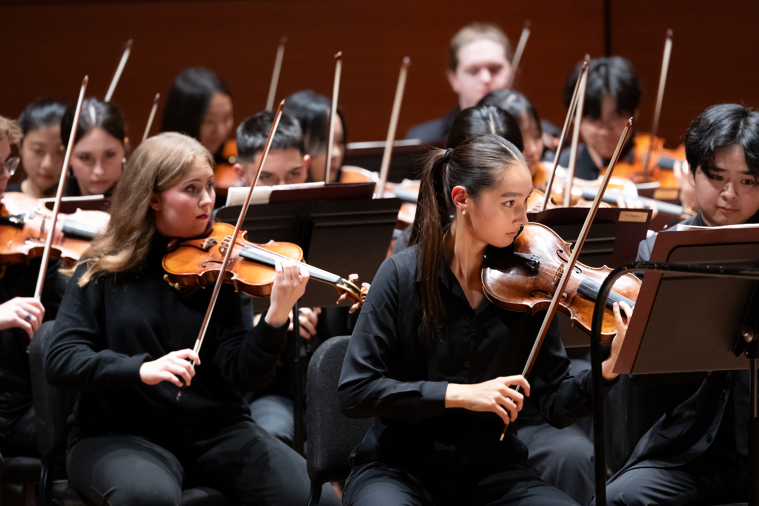 String section of an orchestra performing