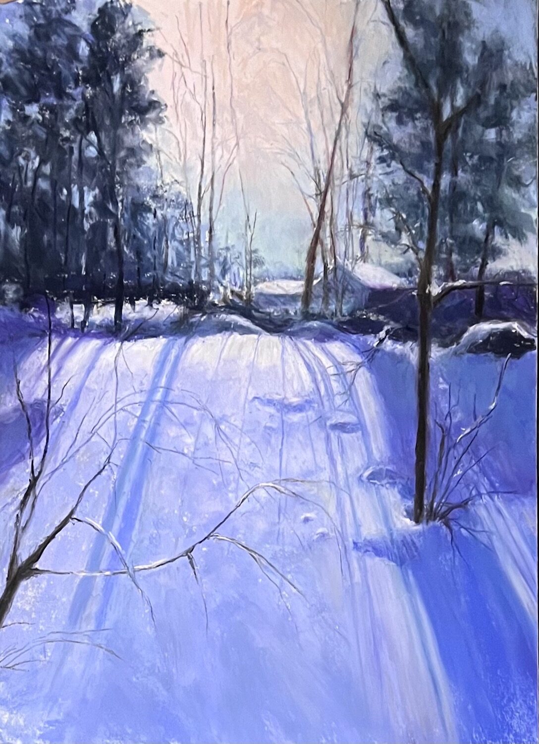 Snow Shadows, Stephanie Cook -- NJ Pastel Society