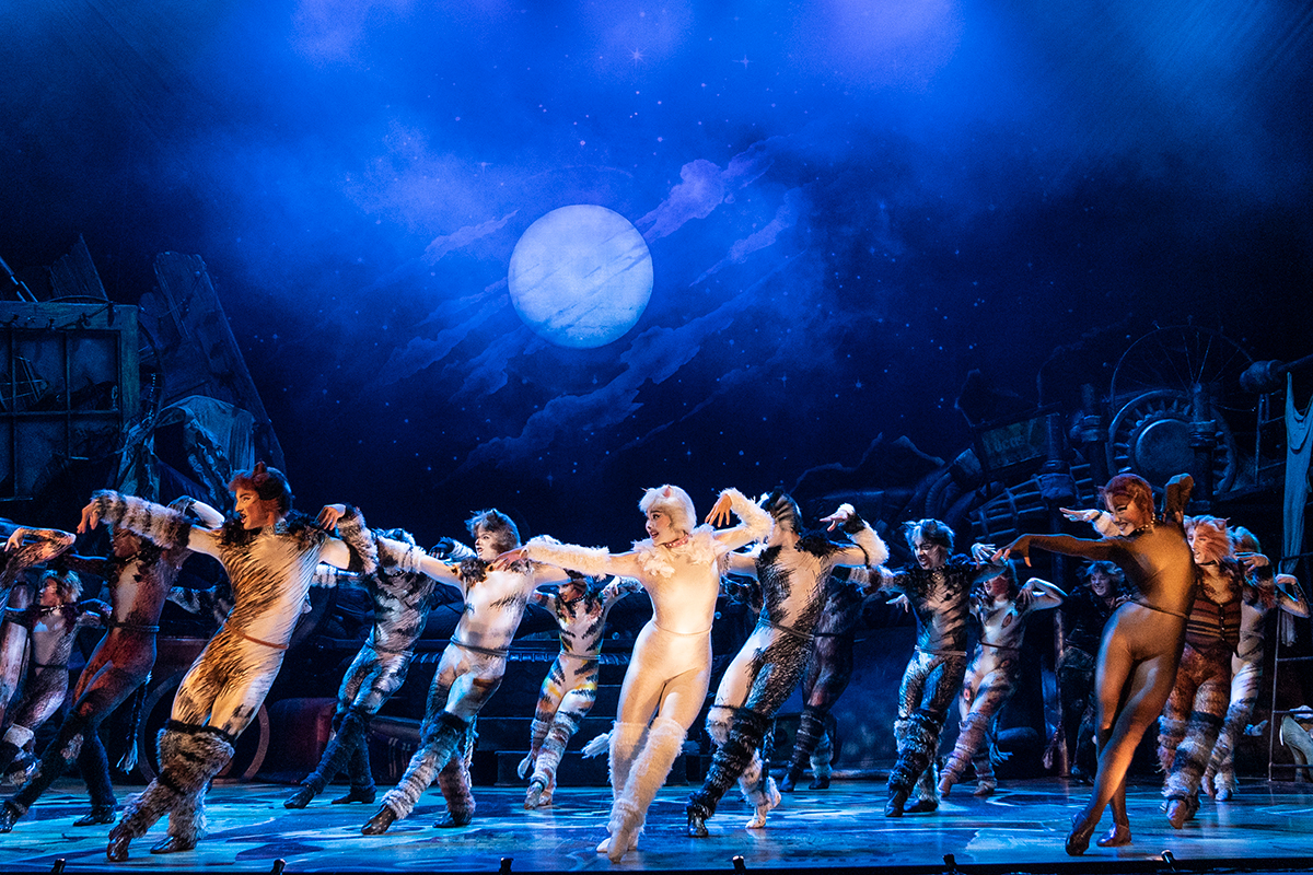 CATS Trailer - Coming To Mayo Performing Arts Center (Morristown, NJ) in 2023.