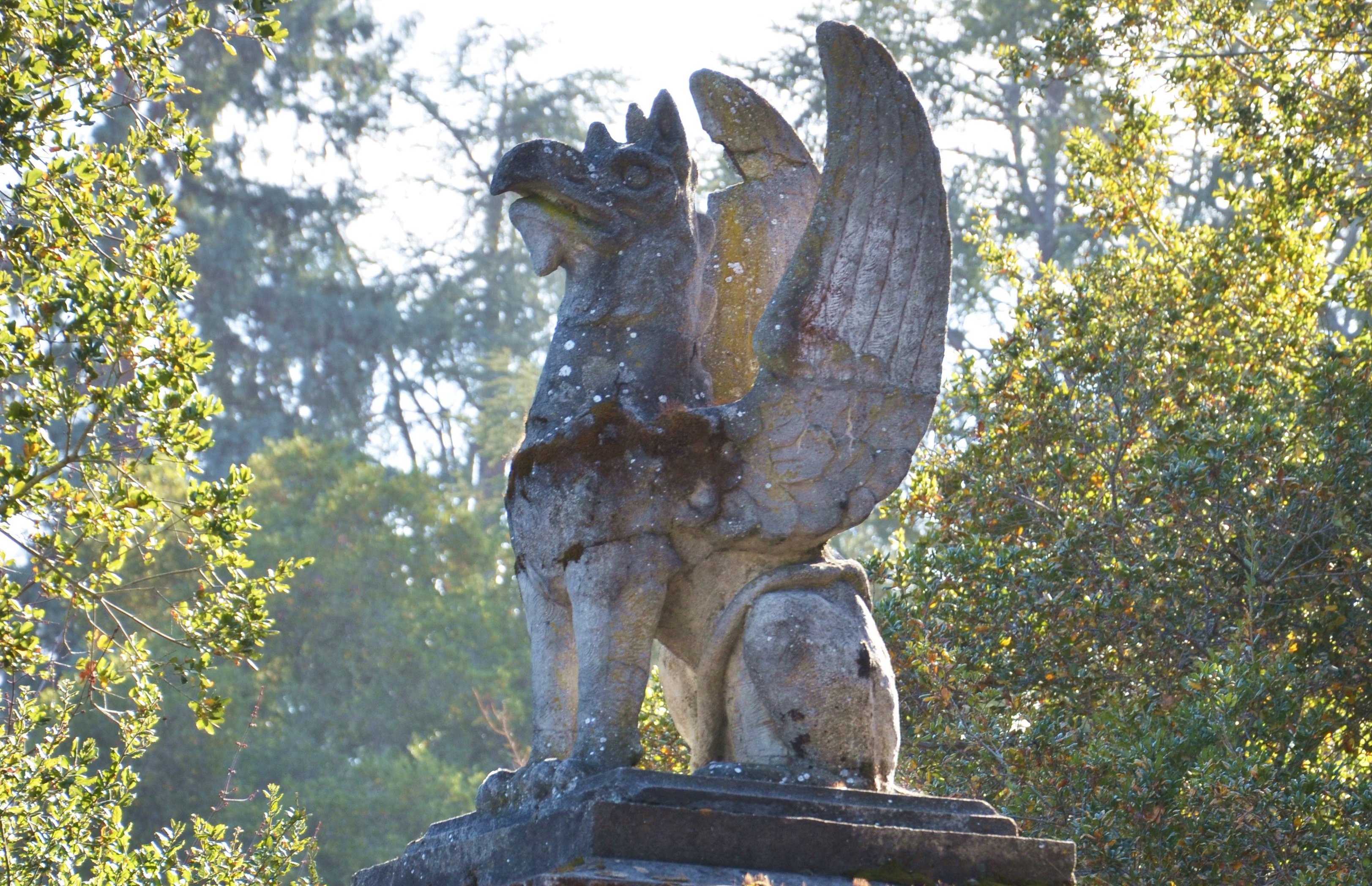 The Griffin Society