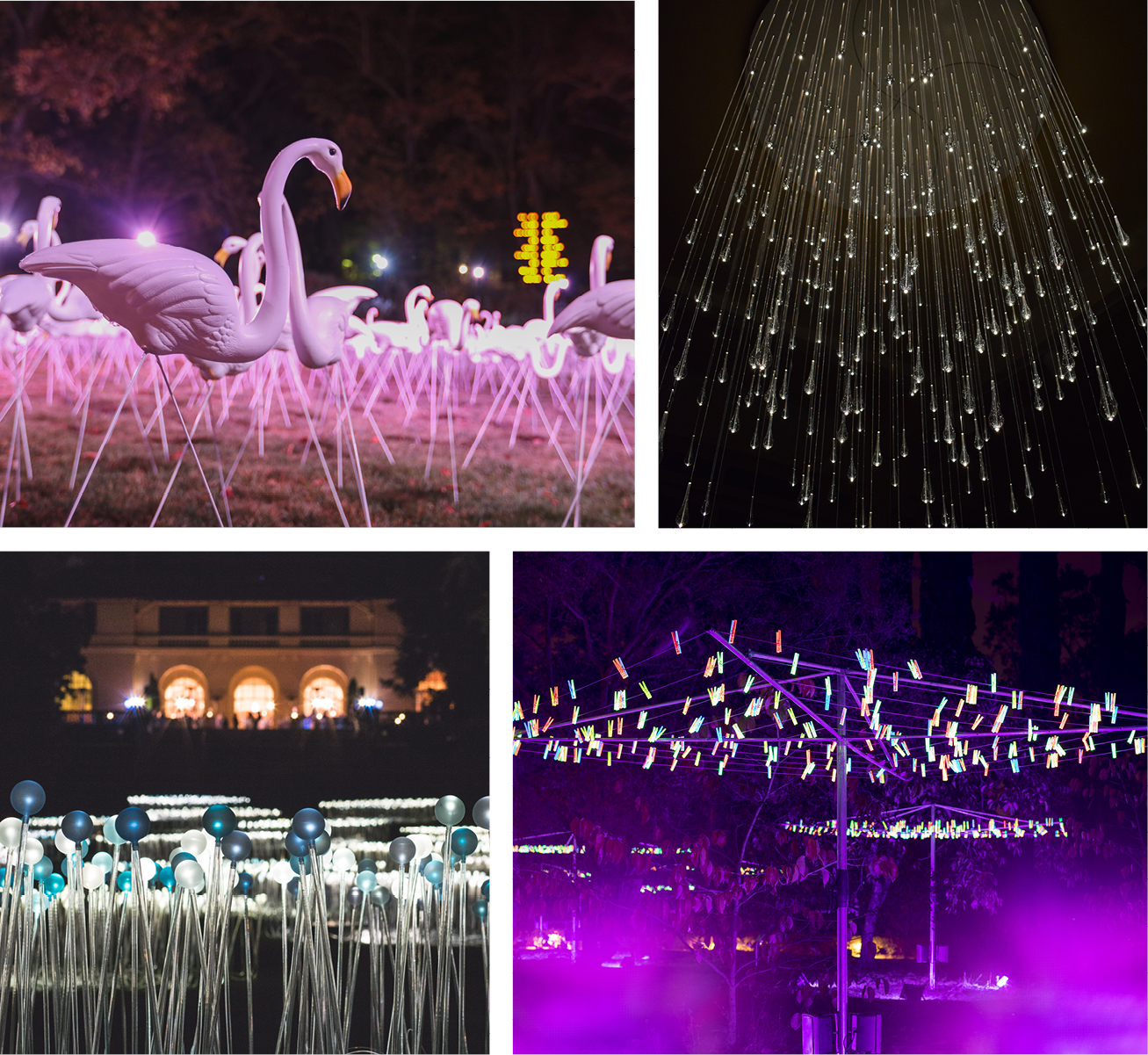 Bruce Munro at Montalvo: Stories in Light