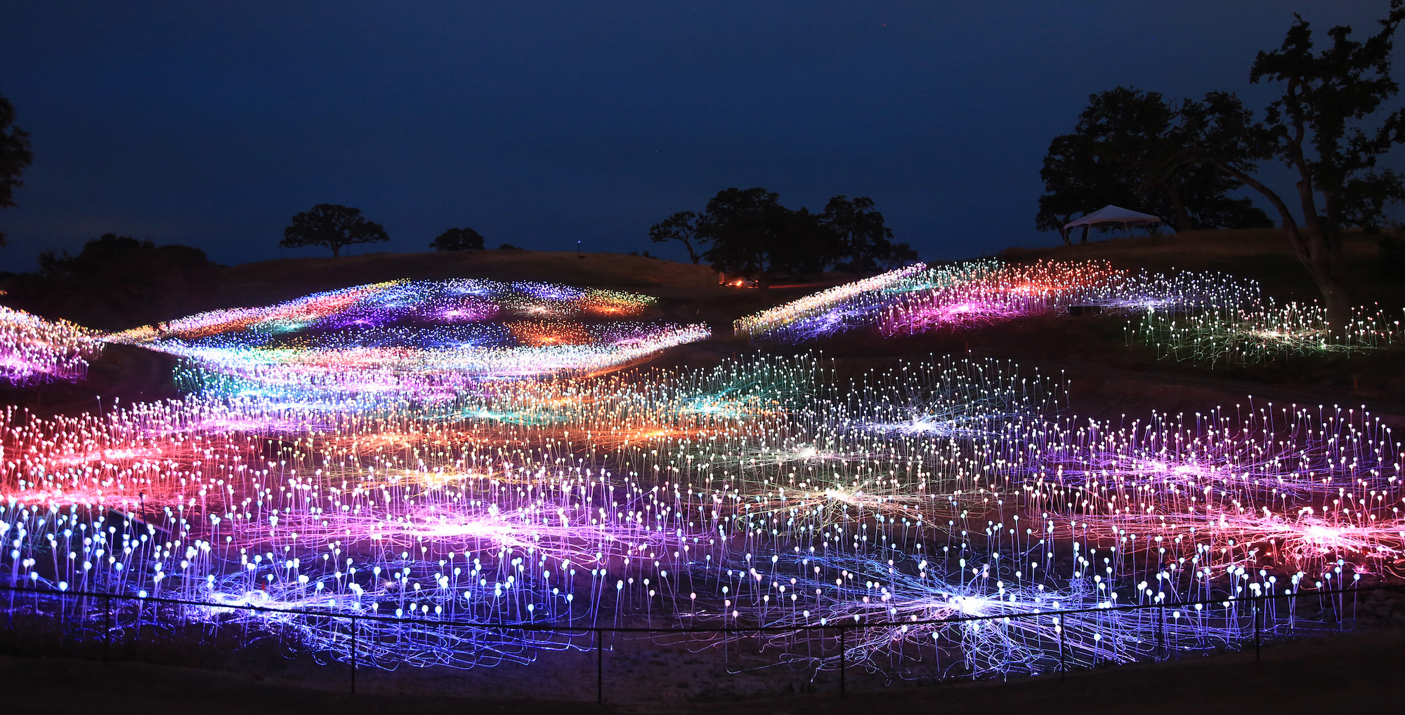 Field of Light at Sensorio