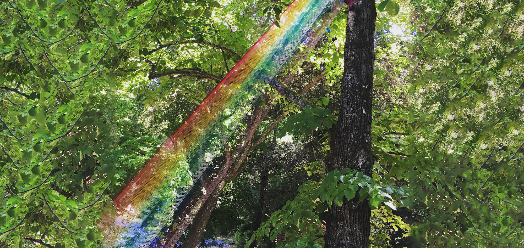Threads: Weaving Humanity
