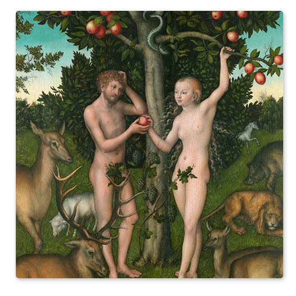 Detail from Lucas Cranach the Elder, 'Adam and Eve', 1526. On loan from The Samuel Courtauld Trust, The Courtauld Gallery, London © The Samuel Courtauld Trust, The Courtauld Gallery, London