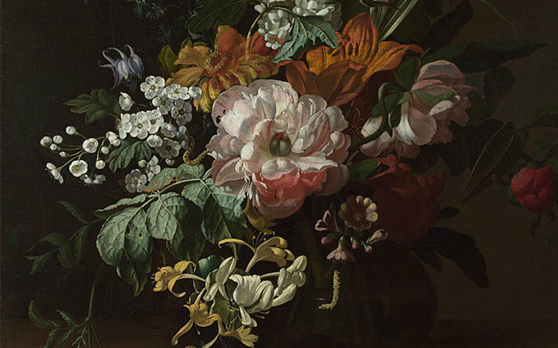 Detail from Rachel Ruysch, 'Flowers in a Vase', about 1685 © The National Gallery, London