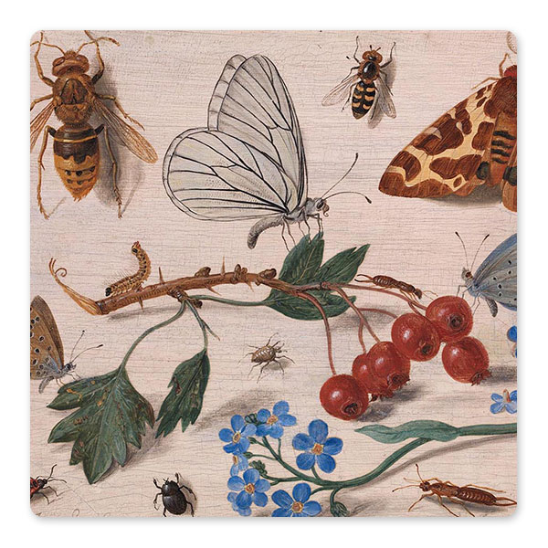 Jan van Kessel the Elder, 'Insects with Common Hawthorn and Forget-Me-Not', 1654 © The National Gallery, London