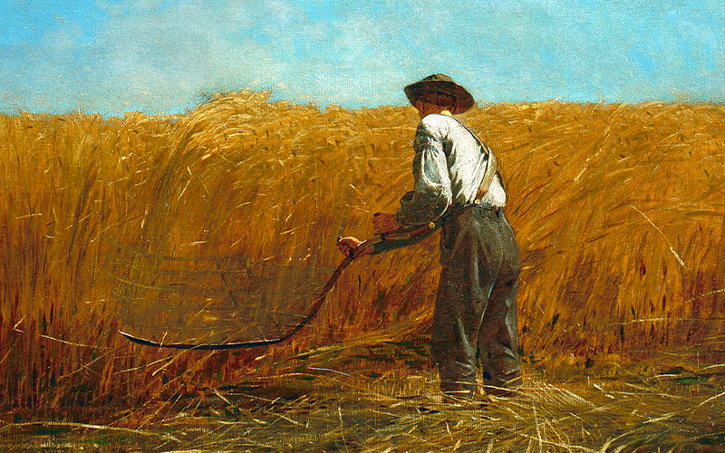Winslow Homer, The Veteran in a New Field, 1865 Oil on canvas 61.3 x 96.8 cm © The Metropolitan Museum of Art, New York Bequest of Miss Adelaide Milton de Groot (1876-1967)