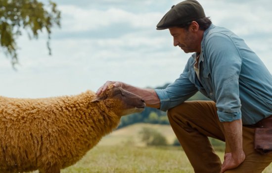 A man in a flat cap and denim shirt strokes a sheep's head