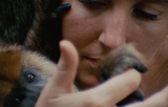 Collective Monologue