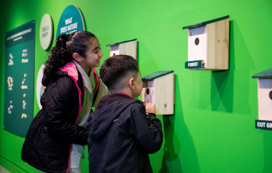 Children looking at a projection in Living Dots