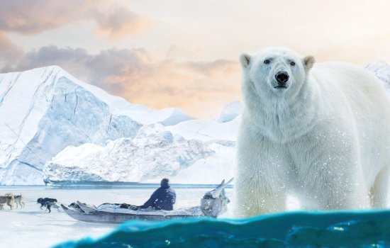 Still of a polar bear from Arctic: Our Frozen Planet in IMAX