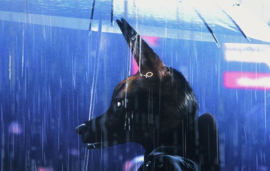 A figure in a dog mask walks under an umbrella in the rain.
