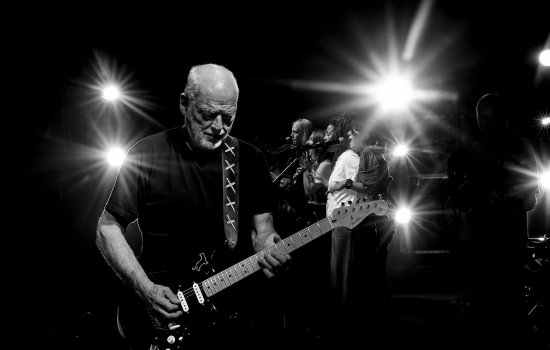 David Gilmour Live