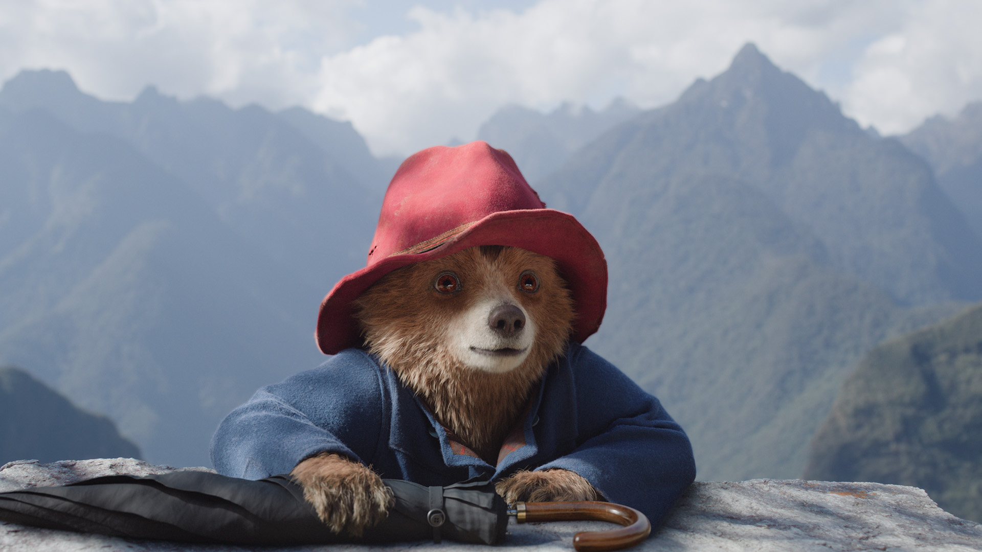 Paddington in Peru