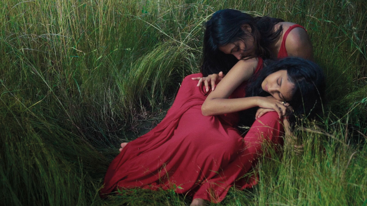Promotional image for Too Desi Too Queer; two South Asian women in red dresses sit together in a field of long grass. One woman kisses the shoulder of the other woman while she rests on her knee.
