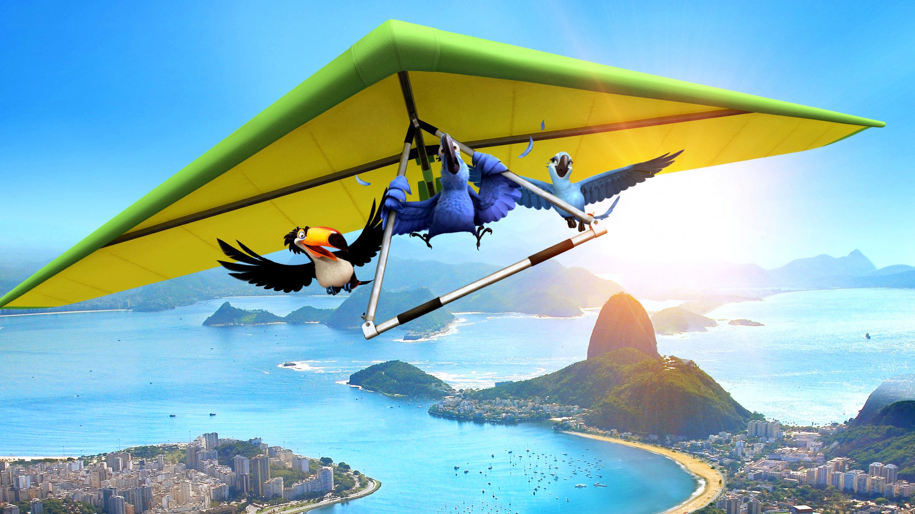 An animated image of three birds flying above Rio di Janeiro.