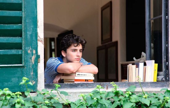 Timothee Chalamet rests on some books and gazes out of an open window.