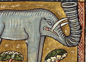 A medieval illustration of a grey animal with an elephant trunk and tusks, bearing its teeth
