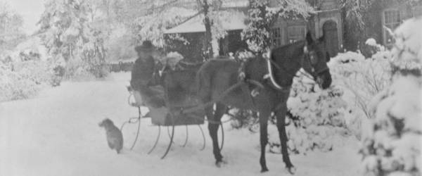 A seasonal black and white image of a horse pulling a sleigh in the snow. 