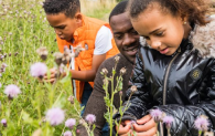 A dad and his two children examine wildflowers. 