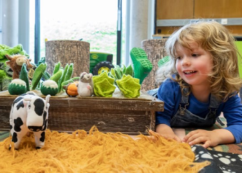 A toddler plays with felt vegetables and a small felt cow as part of our Tractor Tots events.