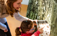 A woman and a small child look over a collection of moths in a glass case. 