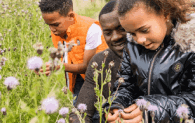 An adult and two children examine flowers in a meadow. 