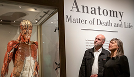 Two visitors in the Anatomy exhibition looking at an anatomical model of a human body. Behind them the title of the exhibition is on the wall.