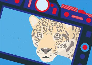 An illustration of a digital camera with a leopard on its screen