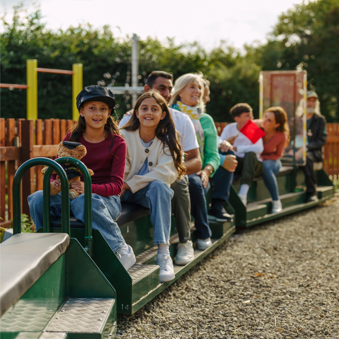 A family of 7 onboard the miniature railway