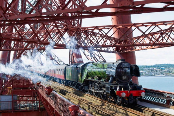 Family visiting the museum