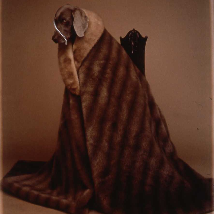 WILLIAM WEGMAN, DOTTED RHYTHM, 1990 (DETAIL)