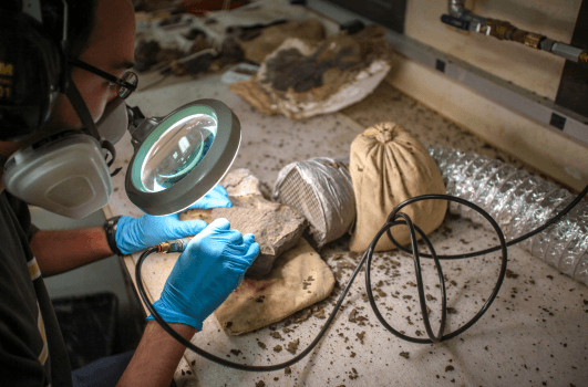 A person works on a fossil in the Paleo Lab