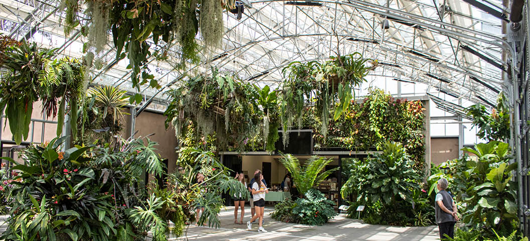 Group of teenagers walking underneath plant chandeliers inside the Dickinson Family Education Conservatory at San Diego Botanic Garden